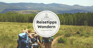 Wander:innen laufen mit Rücksäcken auf dem Rücken einen Wanderweg zwischen einer Wiese entlang