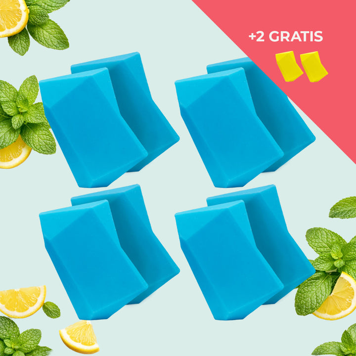 Festes Shampoo Vorratsset. 8 Feste Shampoo & Duschgel inkl. 2 Gratis Feste Shampoo & Duschgel